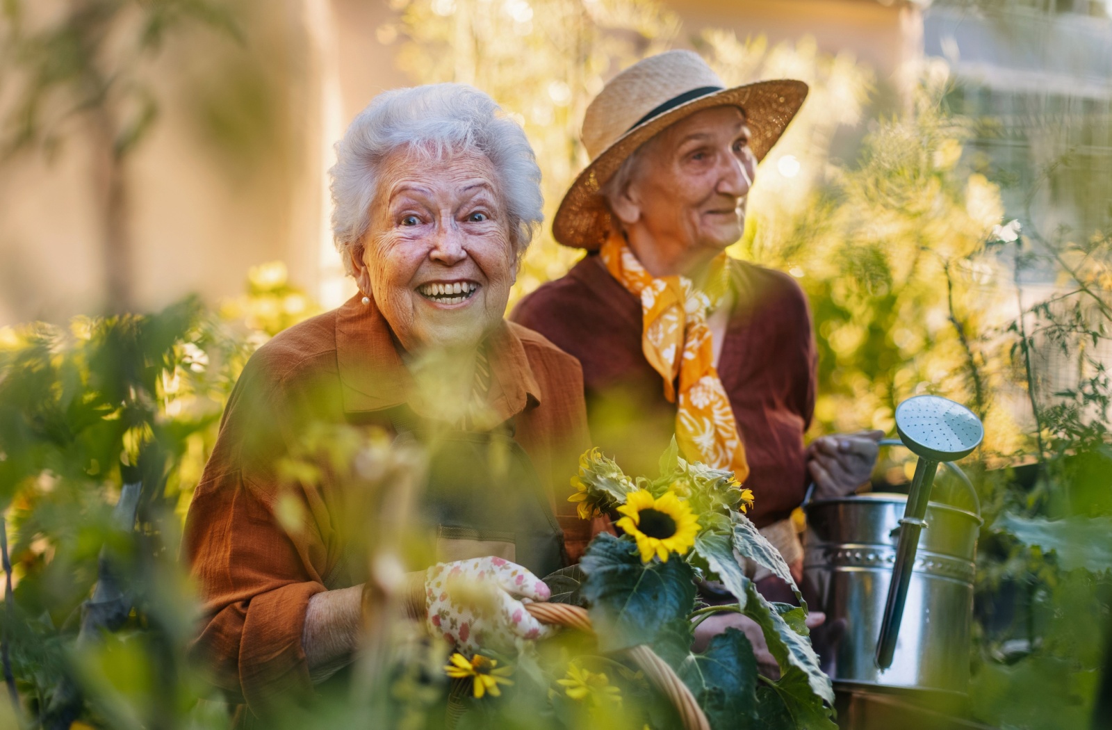 A couple of senior friends enjoy working in their assisted living community garden together.